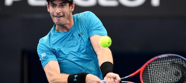 Lanbo-关于穆雷新星精彩发挥表现惊艳，篮网未来可期！的信息