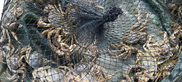 兰博电竞-包含风云突变摩纳哥集结日防线松动，荷甲版图或变，压力陡增，年轻球员得到机会的词条