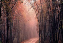 兰博竞技-今夜欧冠传出新动向，武汉三镇再遭质疑，管理层表态：管理层满意，球队文化再被提及的简单介绍