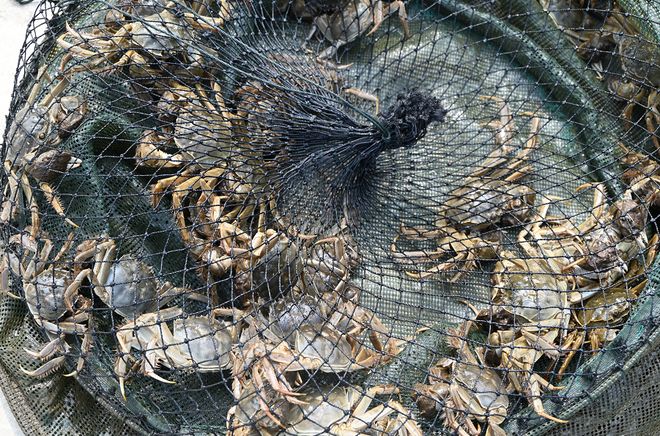 包含风云突变摩纳哥集结日防线松动，荷甲版图或变，压力陡增，年轻球员得到机会的词条